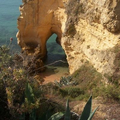 天博网页版登录界面